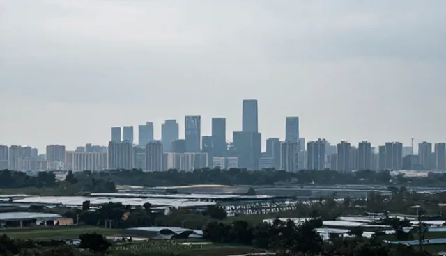 企业名录查询如何满足不同适用条件？